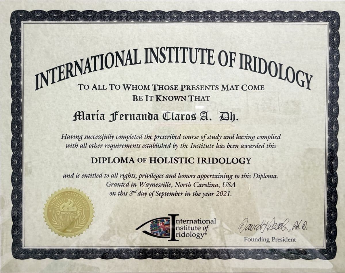 International Institute of Iridology · Holistic Iridology